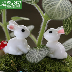 苔藓微景观摆件 小耳朵小白兔 兔子 兔斯基 树脂工艺品摆件配件