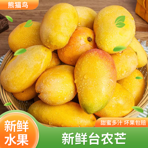【熊猫鸟】海南小台农芒果 新鲜现摘小台芒应当季时令水果1871
