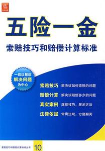 五险一金索赔技巧和赔偿计算标准（修订重印本）