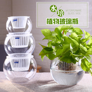 水养植物器皿水培绿萝玻璃瓶水培植物玻璃瓶玻璃鱼缸水培花瓶大号 阿里巴巴找货神器