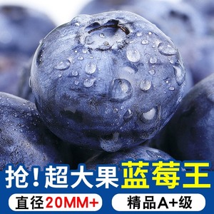 【无农残】高原露天生态蓝莓鲜果当季自家基地现摘现发孕妇水果