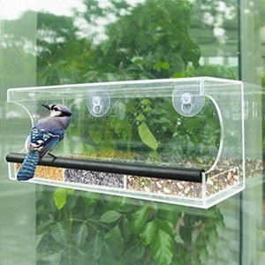 喂鸟器窗户外阳台边吸盘引鸟神器悬挂亚克力小鸟食盒透明楼房屋