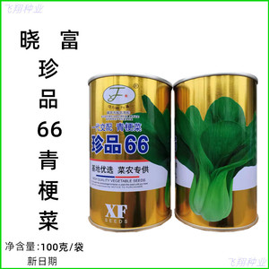 晓富 珍品66青梗菜种子杂交上海青基地专用油菜春夏秋季蔬菜种孑