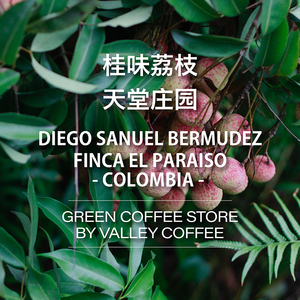 山谷咖啡|新产季哥伦比亚天堂庄园桂味荔枝未烘焙生豆1kg
