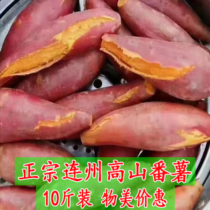 广东连州高山番薯西瓜红一点红蜜薯新鲜现挖农家自种香甜软糯红薯