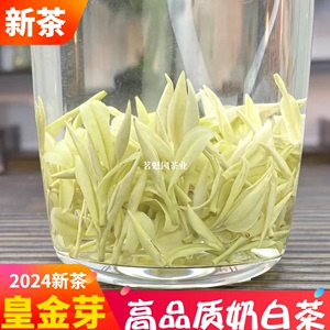 奶白茶2024新茶黄金芽茶叶明前特级白茶安吉绿茶春茶黄茶礼盒散装