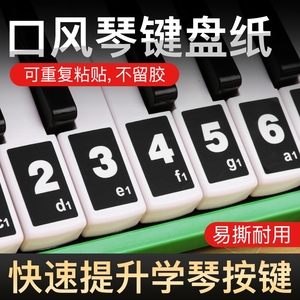 口风琴键盘贴简专业37键32键27键适用天鹅奇美铃木初学入门音阶贴