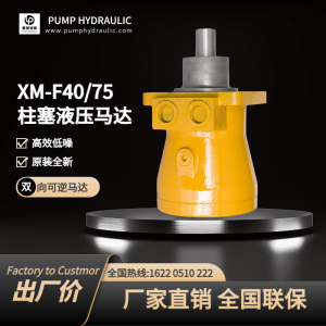 吊车用液压马达XM-F40L ZM40徐工轴向柱塞泵XM-F75F ZM75高压油泵