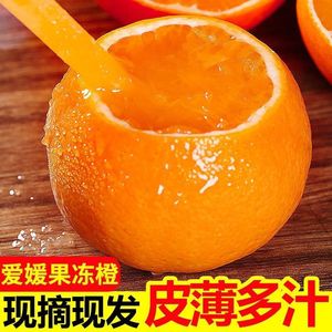 正宗青见果冻橙现摘水果新鲜当季整箱斤榨汁特产手剥柑橙子大果10