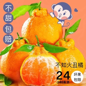 特级四川蒲江不知火丑柑新鲜农产品非耙耙柑很甜的桔子9斤净重