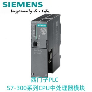 西门子 PLC S7-300 CPU 313C 314C 315 317 319 2 DP PTP PN 模块