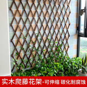 爬藤架植物碳化防腐木栅栏围栏篱笆伸缩网格阳台墙面壁挂月季花架
