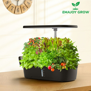 智能水培种菜机家庭无土栽培设备水耕蔬菜盆办公室植物花卉种植箱
