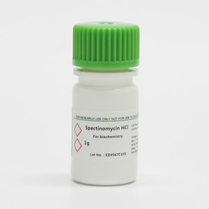 BioFroxx  6811GR001  盐酸壮观霉素Spectinomycin HCl  1G  5G