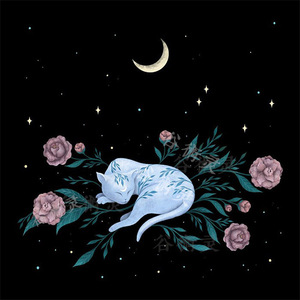 可定制塔罗布仪式布 月亮猫咪鲜花布艺 拍照背景布