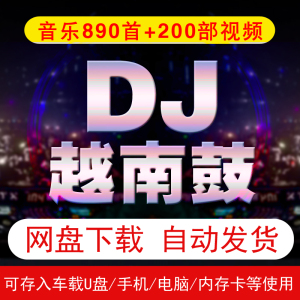 越南鼓DJ炸街串烧咚鼓电音酒吧重低音嗨曲车载U盘源文件网盘下载