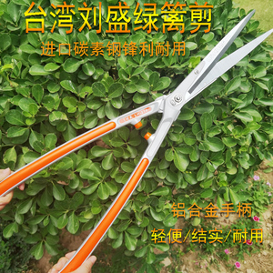 台湾刘盛LH-210进口绿篱剪树枝剪大平剪大剪刀花卉园艺工具（包邮