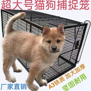 人道救助捕猫笼户外专业捉猫狗神器超大抓野猫耗子家用夹子逮猫器