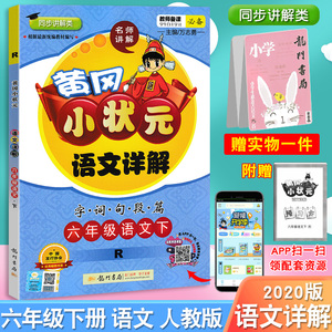 黄冈小状元语文详解 R版 字词句段篇 六年级语文 下 2020版龙门书局 黄冈小状元语文详解 R版 字词句段篇 六年级语文 下 2020版龙门书局