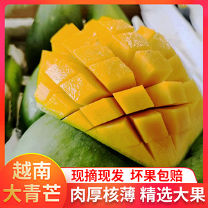 进口青皮芒果越南大青芒整箱10斤装当季新鲜大个水果金煌芒