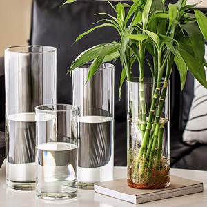 玻璃花瓶摆件客厅插花透明水养水培富贵竹专用高级感龟背竹植物大