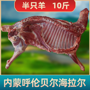 羊肉新鲜半只羊10斤羊腿肉羊排肉生肉羊蝎子肉内蒙古呼伦贝尔散养