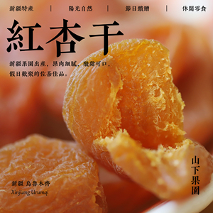 山下果园 新疆特产 红杏干果脯 节日零食清甜酸甜袋装 200g 500g