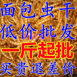 面包虫干桶装一斤包邮黄粉虫仓鼠 蛋白质龙鱼地图鸟食物龟鳖粮