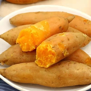 广东潮汕特产黄皮红心红薯农家自种番薯地瓜黄心板栗薯可做种子