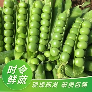 云南新鲜甜豌豆新鲜现摘现发2/3/5斤当季蔬菜农家高山饱满优质