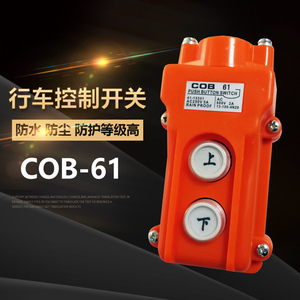 COB-61 C0B61防水行车控制开关TNHA1-61起重按钮开关上下控制手柄