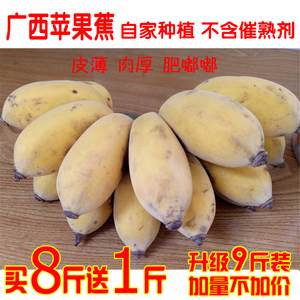 广西粉蕉水果香蕉苹果蕉西贡蕉非小米蕉芭蕉无催熟剂净重9斤包邮
