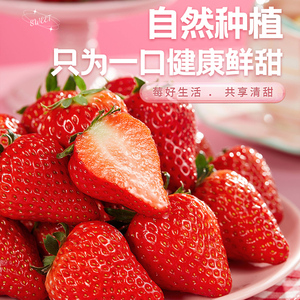 草莓5斤新鲜水果当季整箱包邮孕妇奶油草莓红颜黑金礼盒甜99草莓