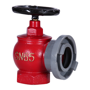 新国标SN65型室内消防栓50消火栓箱配件2.5寸DN65室内水带接扣栓
