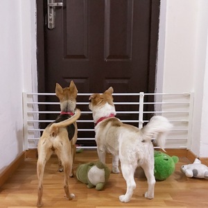 狗狗围栏栅栏室内家用防护栏杆宠物隔离门栏小型犬阳台伸缩狗挡板