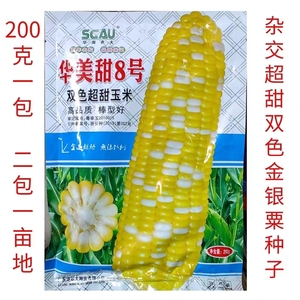450克广东华南农大华美甜8号金银粟双色玉米金银超甜玉米种子鲜食
