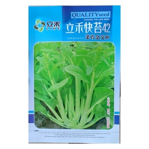 10克立禾快苔42杂交白菜苔种子耐热耐湿高产侧苔多反季节种植专用