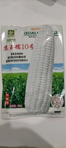 苏玉糯10号、甜糯玉米、好吃玉米、南京沃蔬种业，鲜食白色甜糯