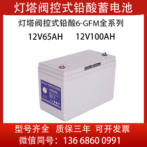 灯塔蓄电池12V65AH  6-GFM-100 UPS EPS 铅酸免维护直流屏太阳能