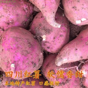 四川红薯新鲜红苕9斤 老品自种粉软糯甜好吃白心可做种紫沙土地瓜