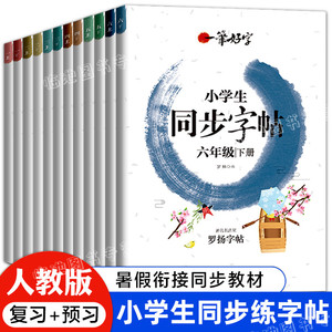 一笔好字 练字帖小学生专用每日一练 一年二年级上册下册语文同步字帖人教版1-6三四五六年级控笔训练练习楷书写字描红本 罗杨字帖