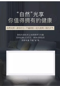 友邦吊顶厨房卫生间300*600LED天花平板灯ZD159 正品顺丰包邮