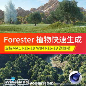 c4d植物插件Forester中文版物草地花草生成教程支持win/mac-03939
