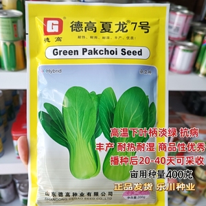 德高夏龙7号青梗菜种子耐热菜种籽夏季优质小青菜白菜四季蔬菜孑