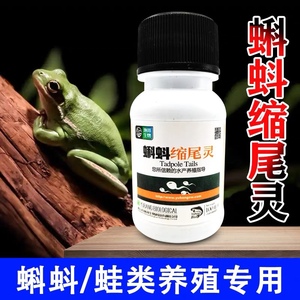 蝌蚪缩尾灵蛙类专用药牛蛙青蛙林蛙红肚子出血红腿蝌蚪池杀车轮虫