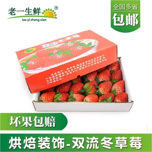 新鲜草莓供奶茶榨汁蛋糕装饰四季商用双流酸草莓多省包邮