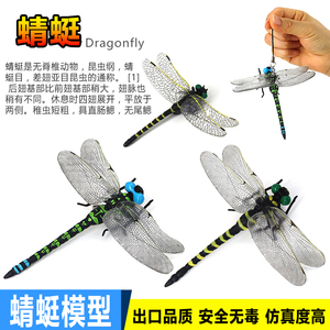 仿真大号蜻蜓模型玩具昆虫标本蜜蜂甲虫胶蝴蝶儿童礼物认知科教育