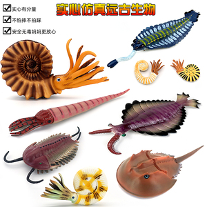 仿真远古生物鹦鹉螺三叶虫菊石模型鲎角石玩具塑胶儿童科教育礼物