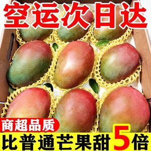 【超爆甜】攀枝花凯特大芒果当季新鲜水果特大青芒10斤整箱价