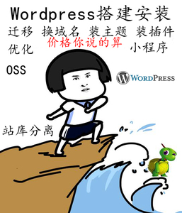 Wordpress搭建安装迁移换域名装主题装插件网址网站优化小程序OSS